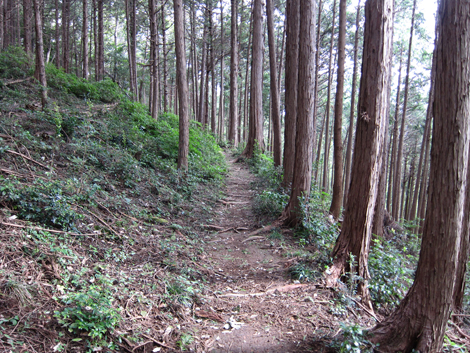 20191017hike (182)